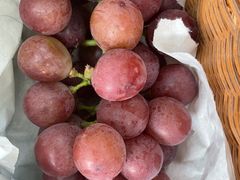 -马陆小张葡萄园农家乐