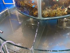 -四海蒸鲜蒸汽海鲜自助(北戴河店)