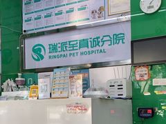 -瑞派动物医院·猫专科·至诚(江南中分院)