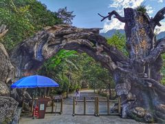 -龙湾潭国家森林公园