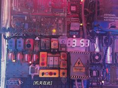 -Darling Queen·Mini·Live·House