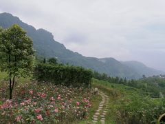 -綦江古剑山