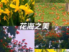 -四海公园(南山区)