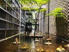 -苏州本色美术馆