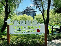 -长兴太湖图影湿地文化园
