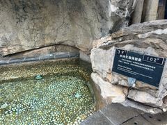 -海口观澜湖火山温泉谷