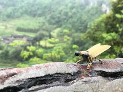 -武隆天坑寨子景区