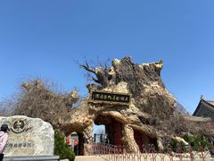 -大槐树寻根祭祖园