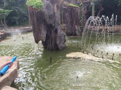 -祥源·阜阳生态乐园