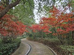 -同里国家湿地公园