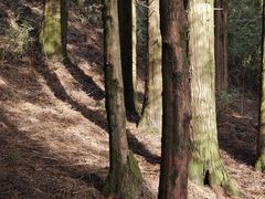 -山王坪喀斯特国家生态公园