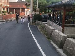 -藏龙百瀑风景区