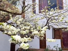 -建坤水席宫·洛阳菜(中州路店)