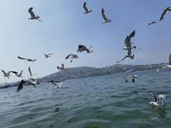 -大连金石滩国家旅游度假区