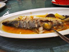 清蒸鲥鱼-望乡楼上海菜(日月光店)