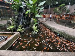景观位-荔城生鲜盛宴(番禺旗舰店)