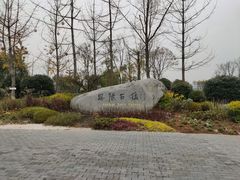 -恩阳古镇