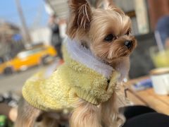 -小龍鳳餐室(番禺路店)