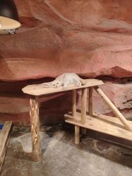 -Zoolung Zoolung动物主题公园(海信广场店)