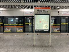 -杨高南路(地铁站)