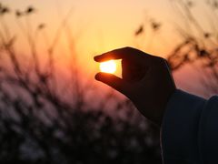 -江西阳明山国家森林公园