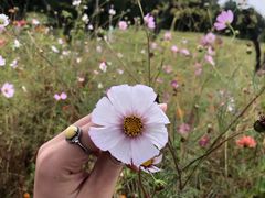 -济南国际园博园