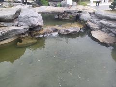 -东莞植物园
