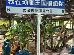 -海合安武汉极地海洋公园