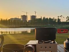 -春花秋色城市公园