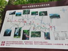 -牛背梁国家森林公园