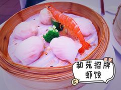 和苑招牌虾饺-和苑·精致粤菜(珠江新城店)