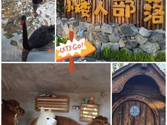 -珠海海泉湾神秘岛亲子乐园