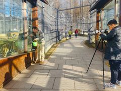 -横道河子东北虎林园
