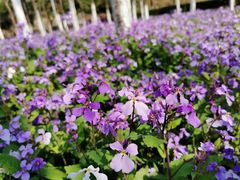 -白塘生态植物园
