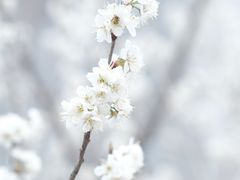 -国际非物质文化遗产博览园