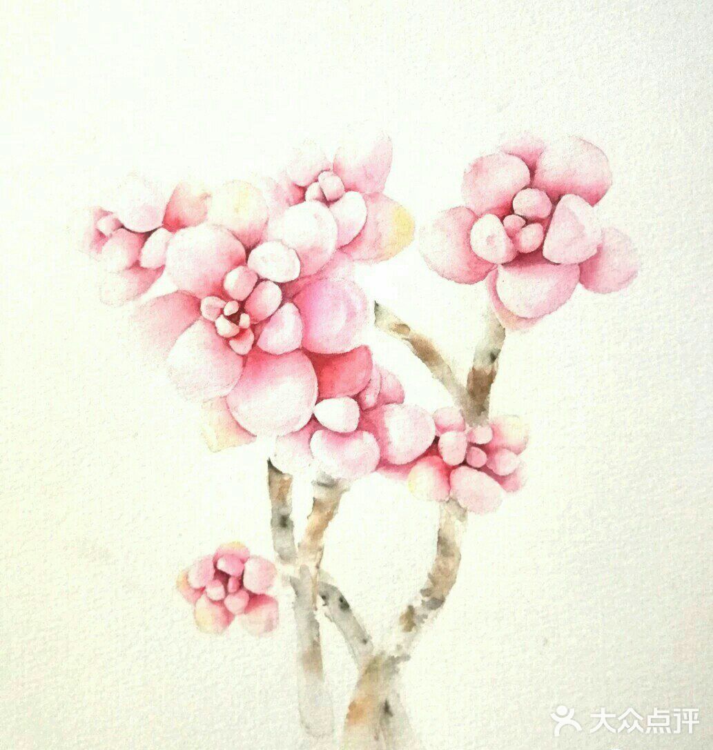 从养多肉到画多肉，生活越来越有趣啦[胜利]