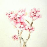 从养多肉到画多肉，生活越来越有趣啦[胜利]
