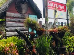 -自然餐厅(Phuket)