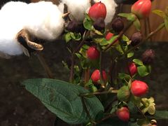 -Seesaw Coffee(环贸iapm店)