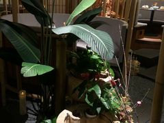 -梅间堂茶馆(绿地缤纷城店)