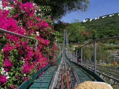 -芽庄珍珠岛游乐园