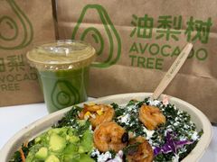 -油梨树AVOCADO TREE(望京店)