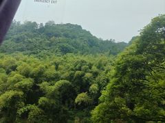 -峨眉山风景名胜区