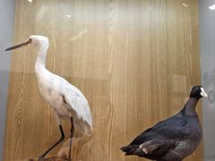 -下渚湖国家湿地公园科普馆