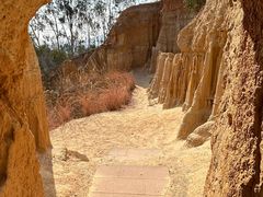 -元谋土林景区(物茂土林)