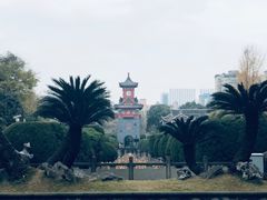 -四川大学(华西校区)