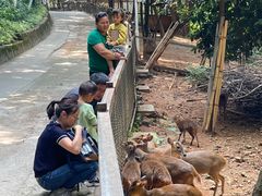 -昆明动物园