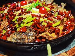 -老板恋上鱼(恒隆广场店)