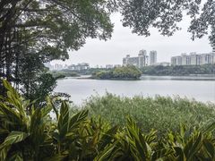 -南宁南湖公园