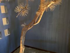 -春熙台韩国料理·章鱼肥牛(西丽店)